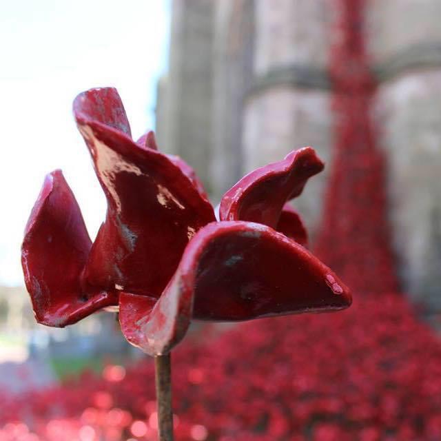 We will remember them