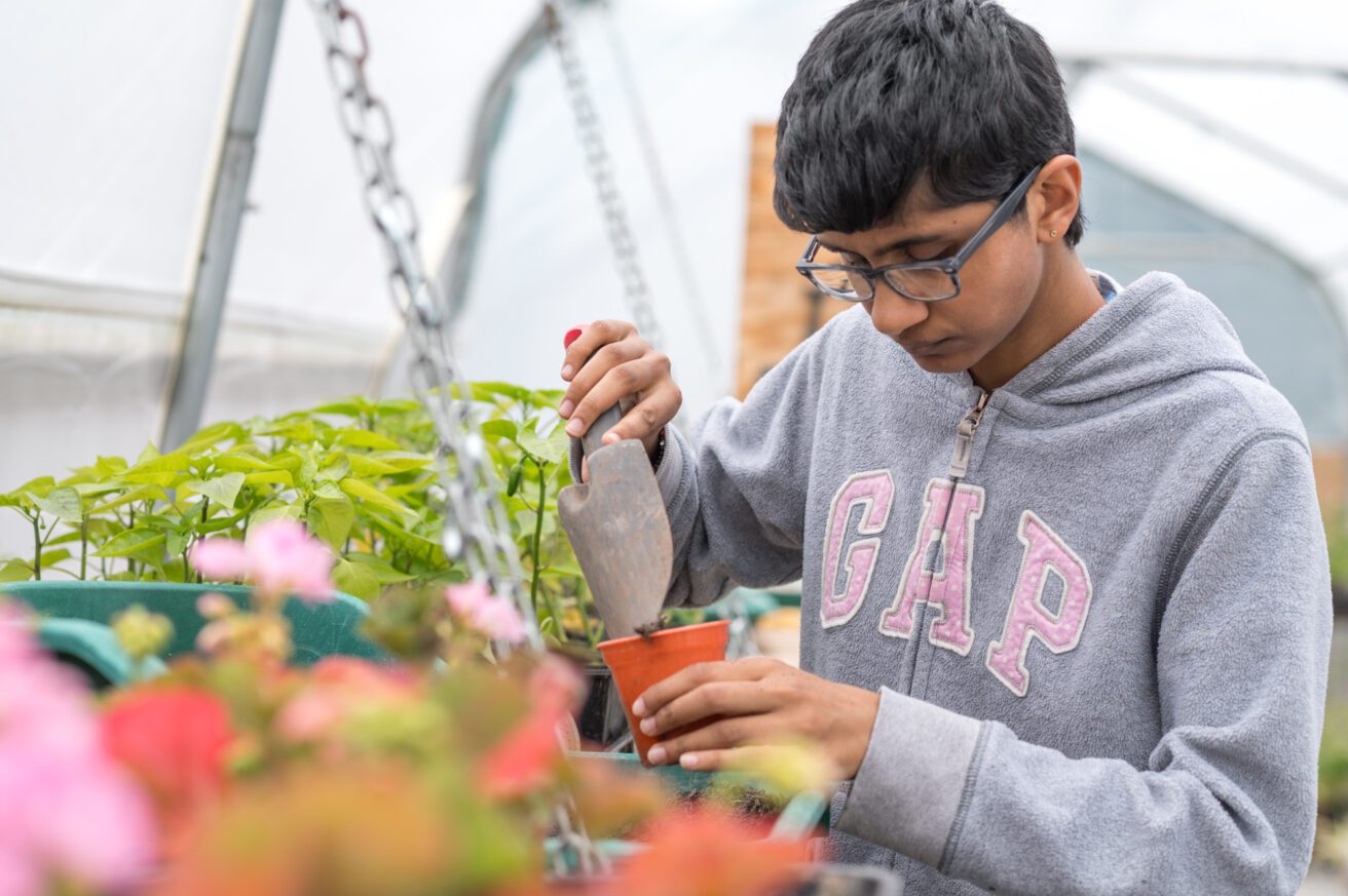 a person standing in a polytunnel surrounded by plants and using a trowel to fill a plant pot with soil