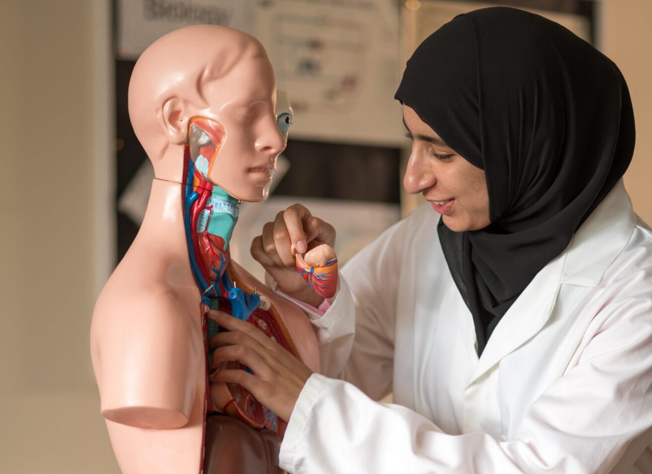 A student wearing a white lab coat is placing a model of an organ into a 3 D model of a torso